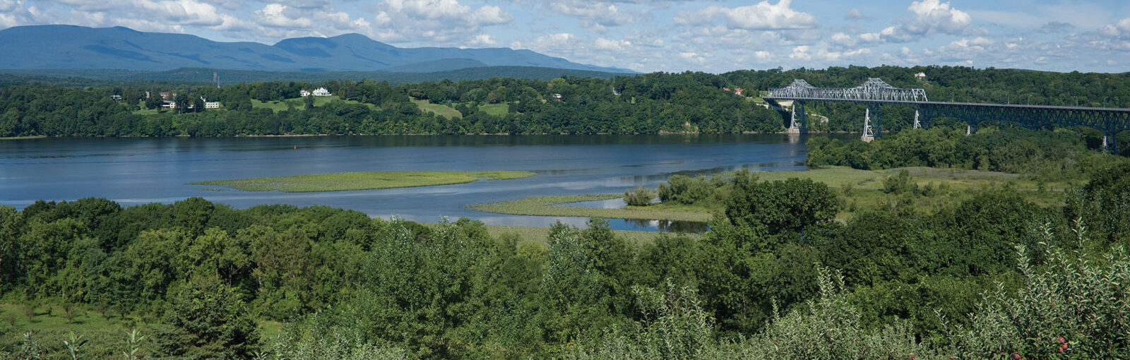 Business with Open Sign