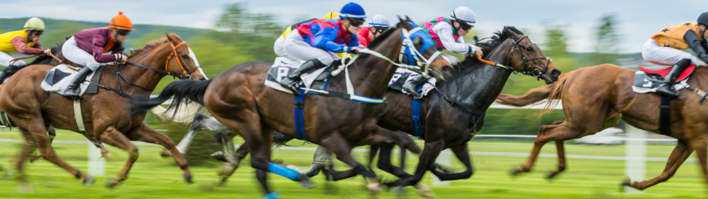 Horse racing